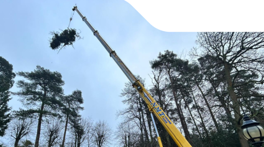 NMT Crane Hire tackles Storm Darragh’s aftermath